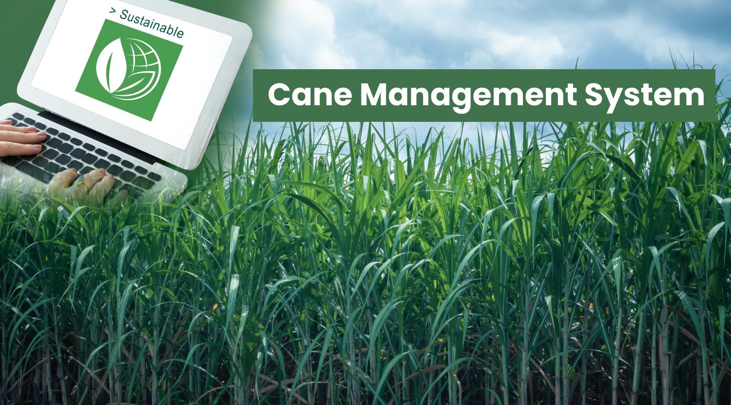 Cane Management System