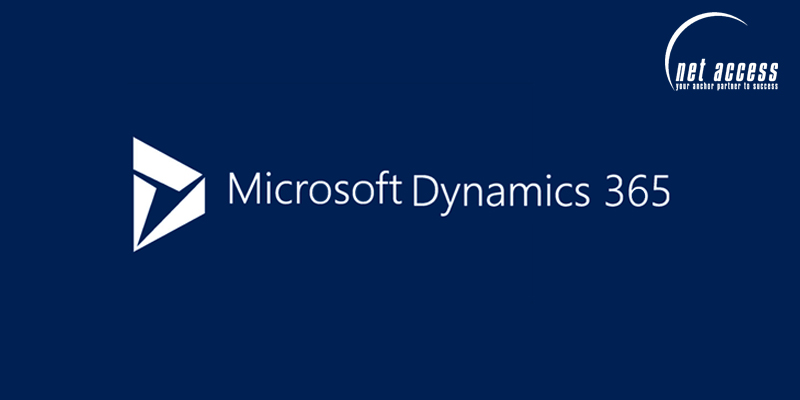 Microsoft Dynamics 365 LI Support Services