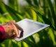 Crop Monitoring Software for Modern Agriculture